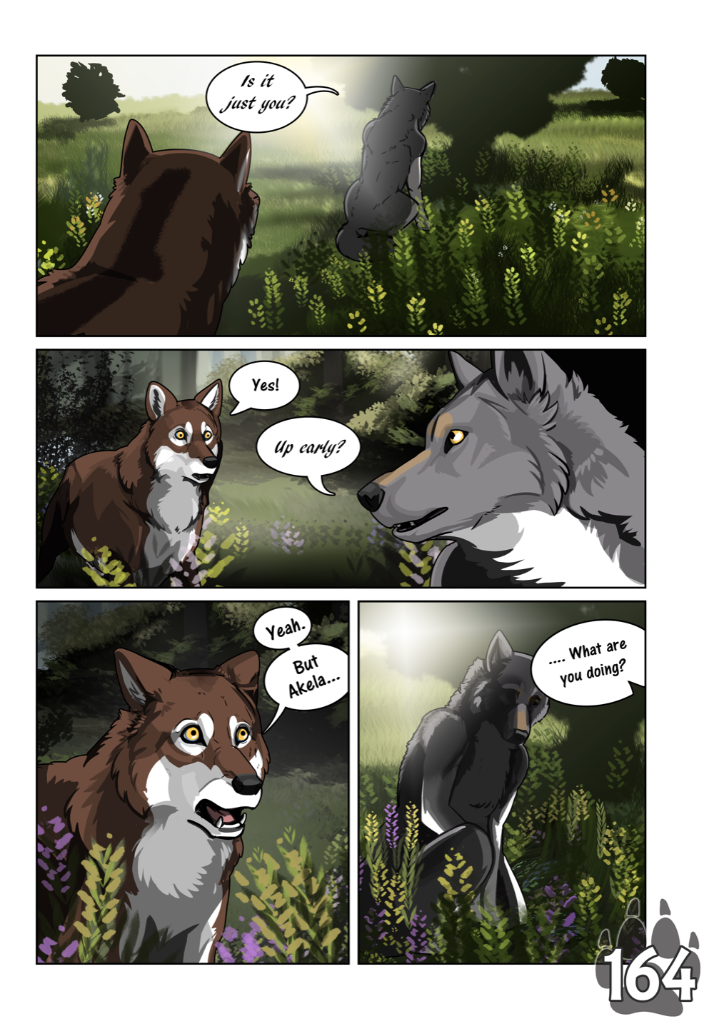 Page 164